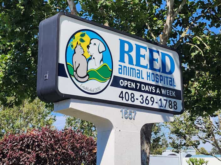 Office - Store Signage